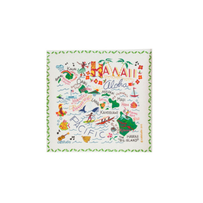 Catstudio State of Hawaii Dish Towel 1