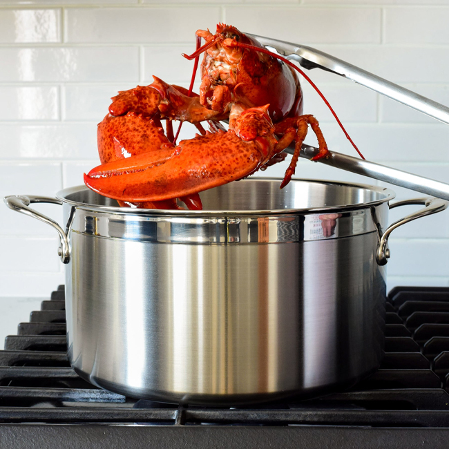 Hestan ProBond® Professional Clad Stainless Steel 8 Qt. Covered Stock Pot