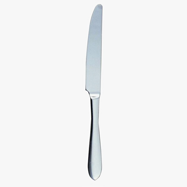 Ginkgo Linden Stainless Steel Dinner Knife